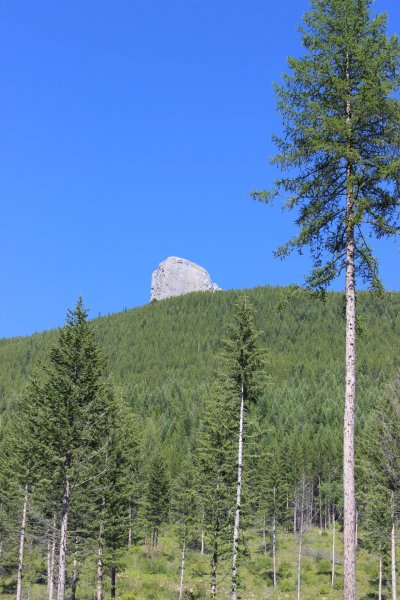 IMG_5921.JPG