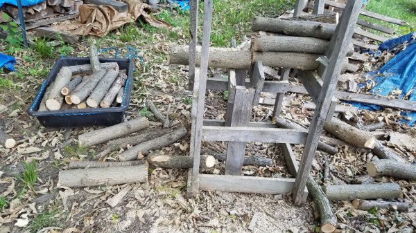 20160728_144100.jpg