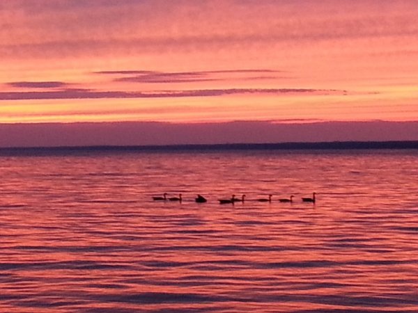 20160728_204333.jpg
