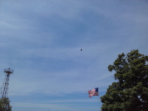 20160729_140630.jpg