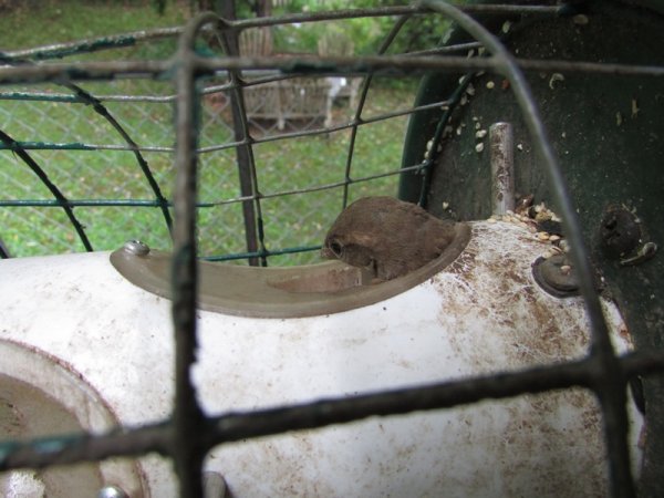 Getting help getting out.jpg