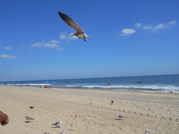 Dec 25-14 download 168.jpg