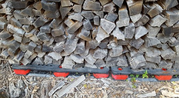 pallet3.jpg