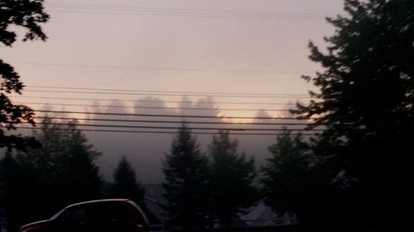 Dawn at work 8-3-16.jpg