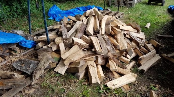 20160806_104654.jpg