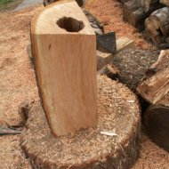 004.JPG