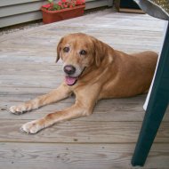 Tanner (2).jpg