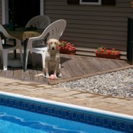 Dolly Poolside.jpg