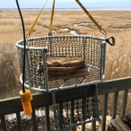 Basket unloading3.JPG