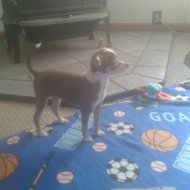 20150215_122820.jpg