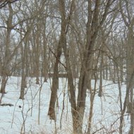 DSC00389.JPG