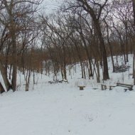 DSC00391.JPG