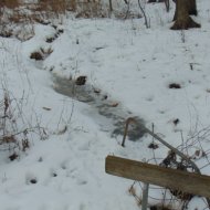 DSC00394.JPG