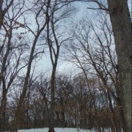 DSC00374.JPG