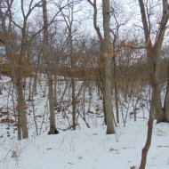 DSC00376.JPG