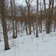 DSC00378.JPG