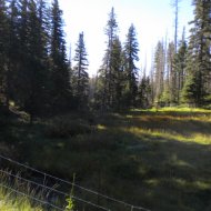 creek1.JPG