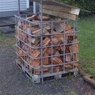 IMG_1448 (Medium).JPG