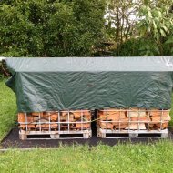 Onesie_1 (Large).JPG