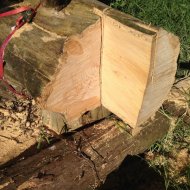 half_round (Large).JPG