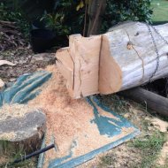 IMG_1502 (Large).JPG