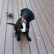 20181012_150711.jpg