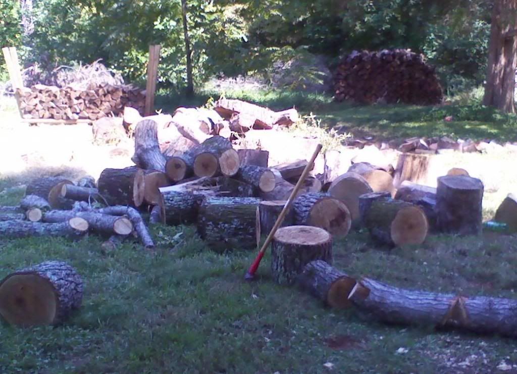 The Official Firewood Hoarders Club Thread Page 17 Firewood