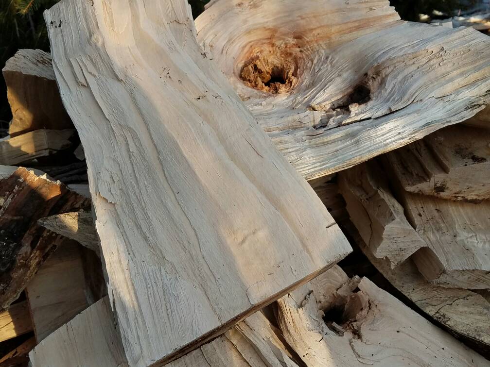 Silver Maple As Firewood