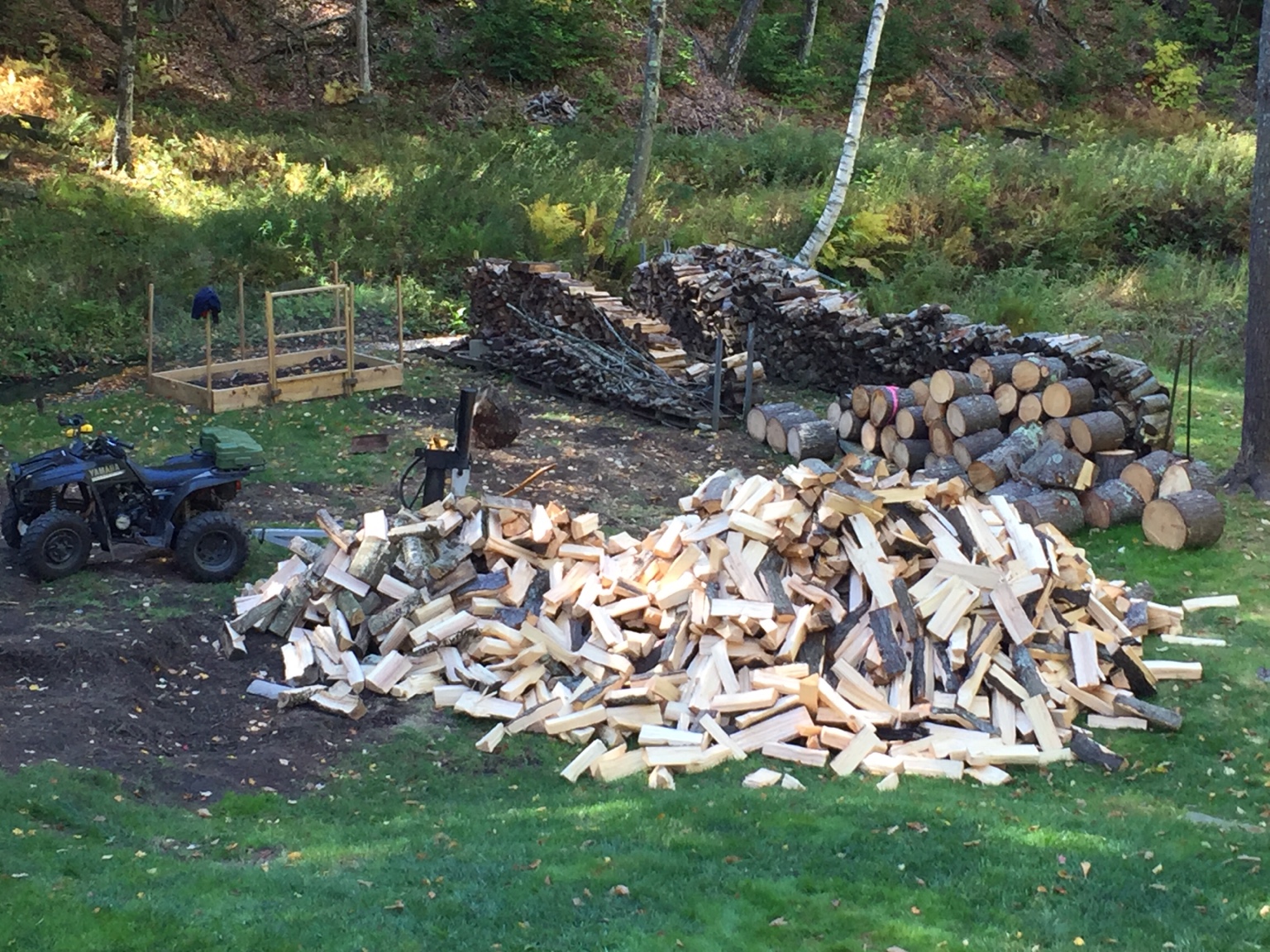 I burn pine Firewood Hoarders Club