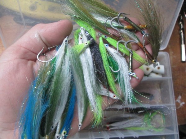 What lures best mimic mosquito fish? - Fishing Tackle - Bass Fishing Forums