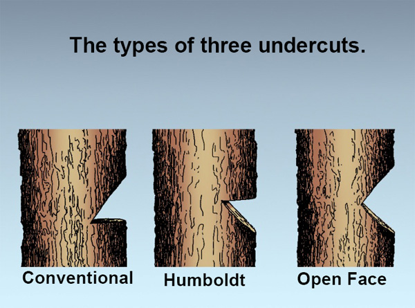 Felling cuts?  Firewood Hoarders Club